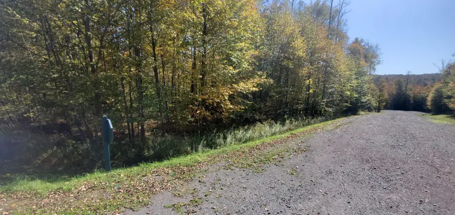 28 Bridle Way, Equinunk, PA 18417 - #2