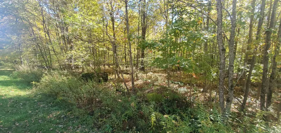 28 Bridle Way, Equinunk, PA 18417 - #3
