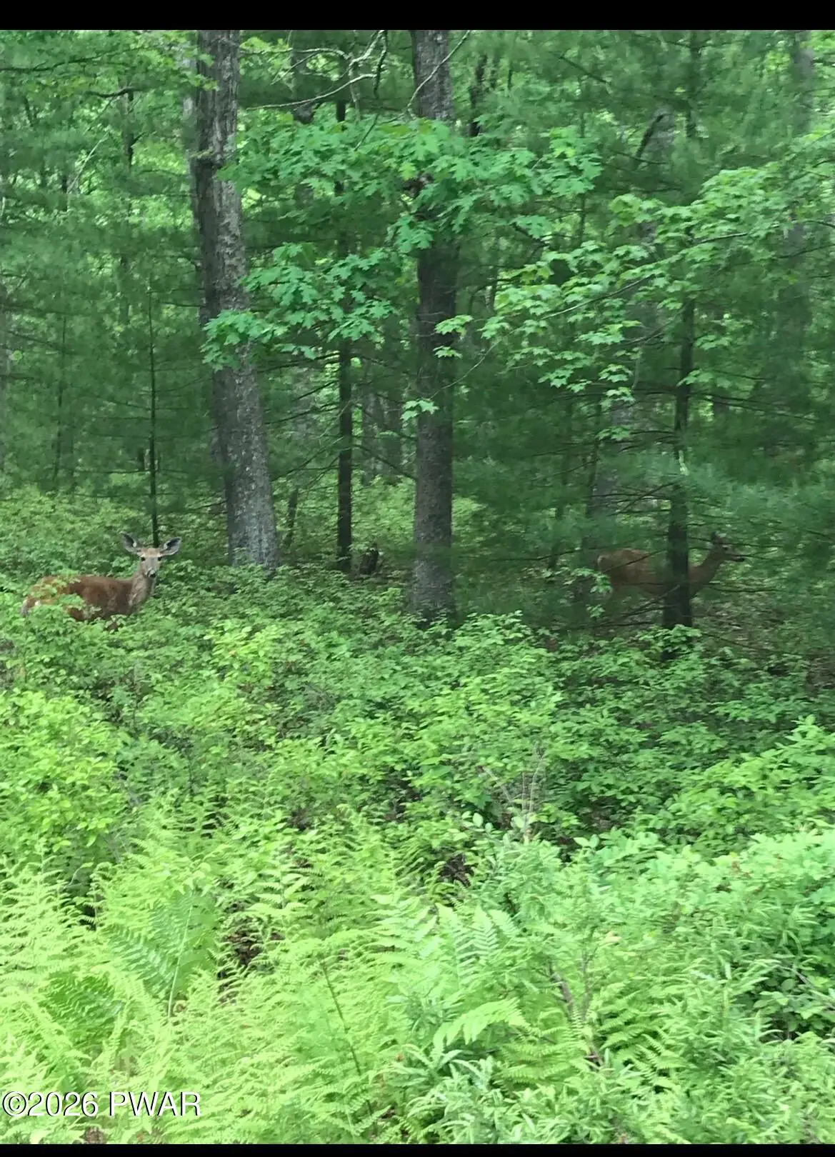 Lot 89 Kinsale Lane, Dingmans Ferry, PA 18328 - #1
