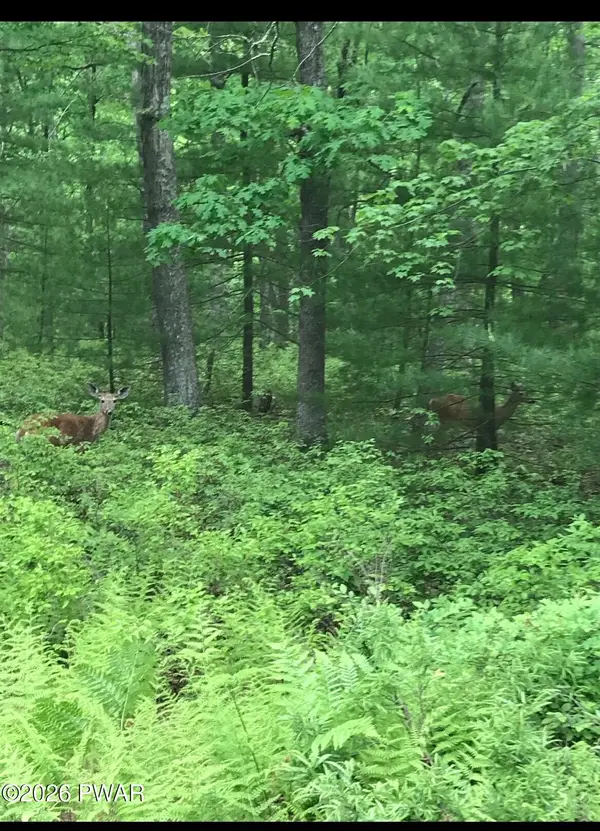 Lot 89 Kinsale Lane, Dingmans Ferry, PA 18328