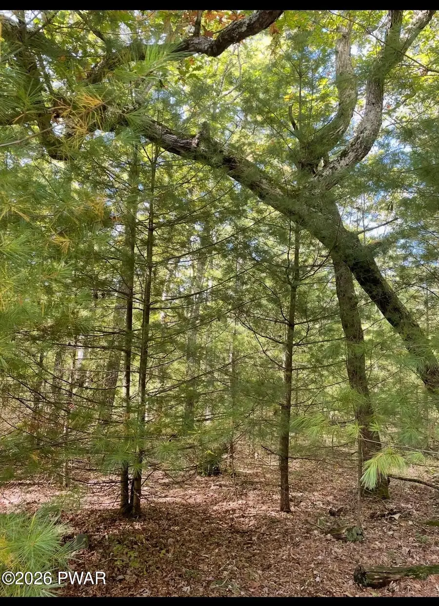 Lot 89 Kinsale Lane, Dingmans Ferry, PA 18328 - #3