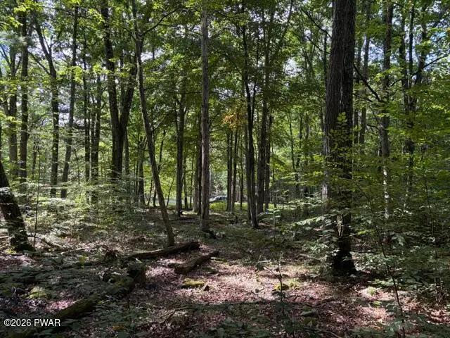 145 Burning Tree Drive, Lords Valley, PA 18428 - #3