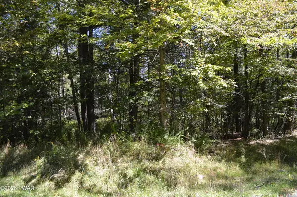 Lot 109 Snow Drift Road, Newfoundland, PA 18445