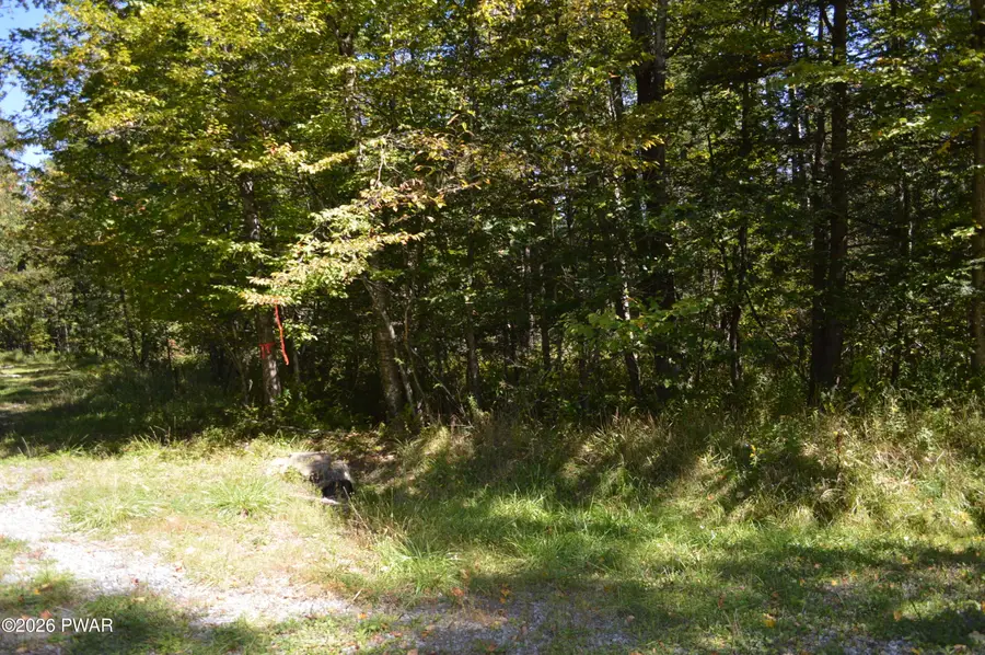 Lot 109 Snow Drift Road, Newfoundland, PA 18445 - #3