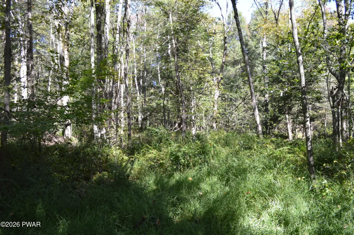 Lot 113 Snow Drift Road, Newfoundland, PA 18445 - #1