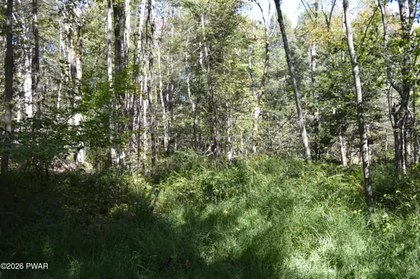 Lot 113 Snow Drift Road, Newfoundland, PA 18445