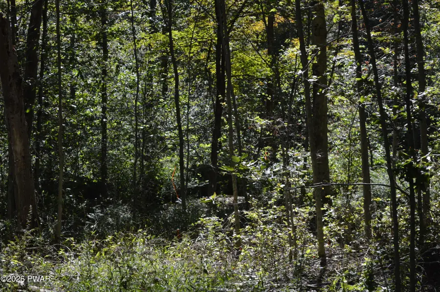 Lot 113 Snow Drift Road, Newfoundland, PA 18445 - #2