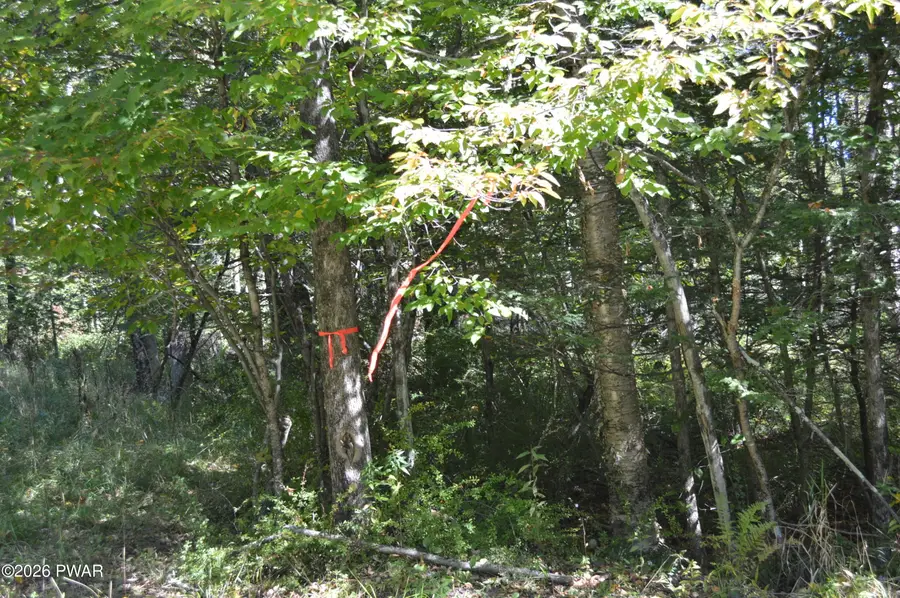 Lot 113 Snow Drift Road, Newfoundland, PA 18445 - #3