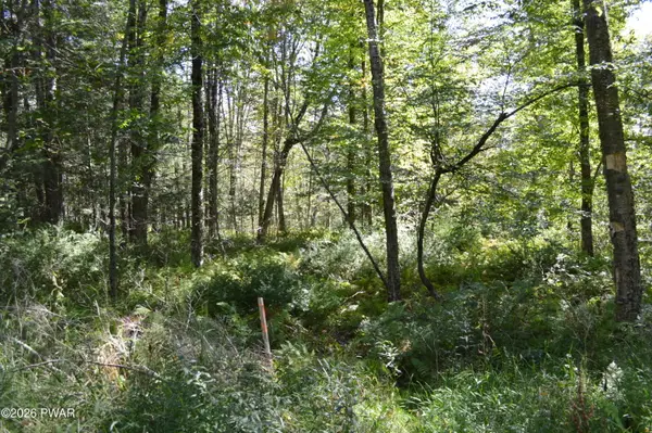 Lot 112 Snow Drift Road, Newfoundland, PA 18445