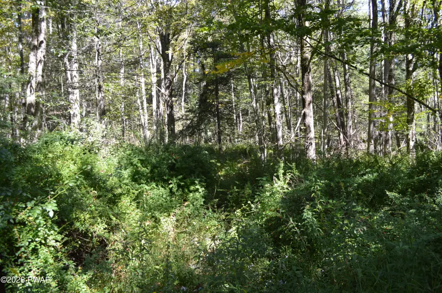 Lot 112 Snow Drift Road, Newfoundland, PA 18445 - #3