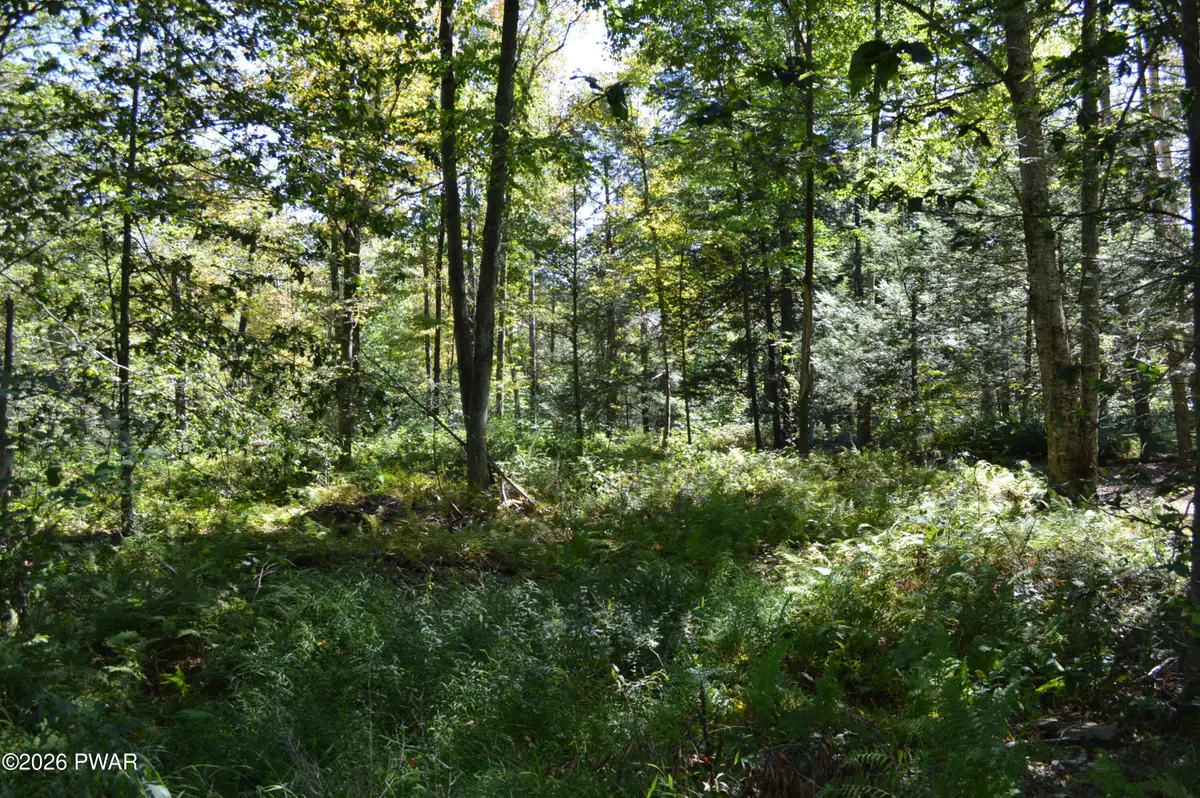Lot 111 Snow Drift Road, Newfoundland, PA 18445 - #1