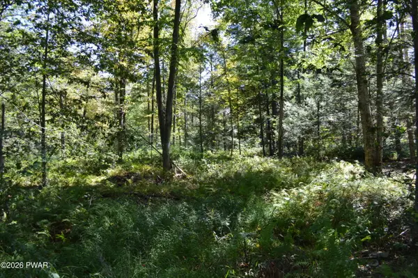 Lot 111 Snow Drift Road, Newfoundland, PA 18445