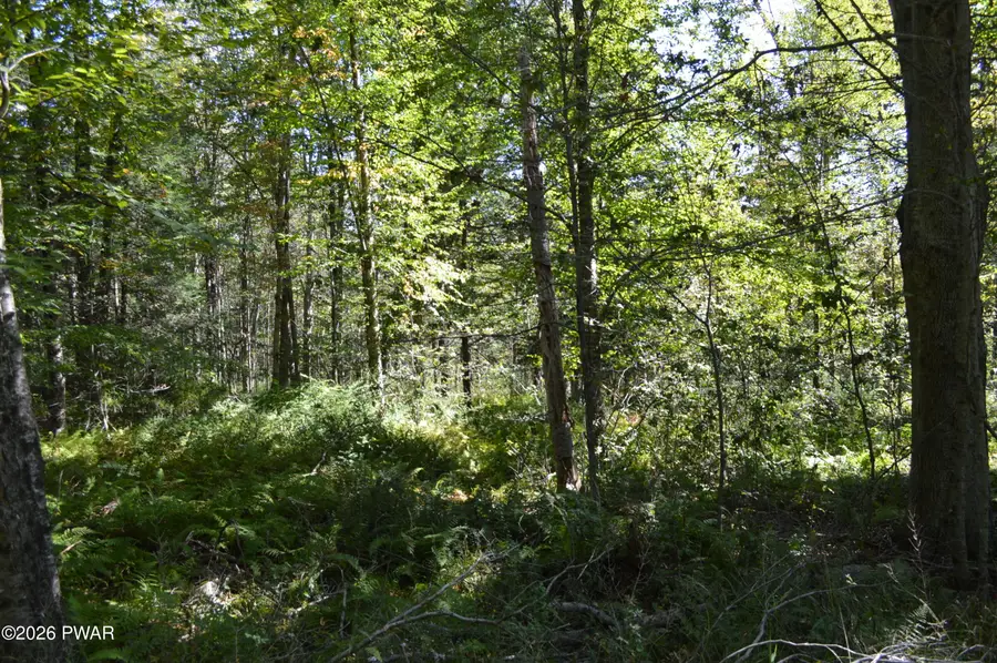 Lot 111 Snow Drift Road, Newfoundland, PA 18445 - #2