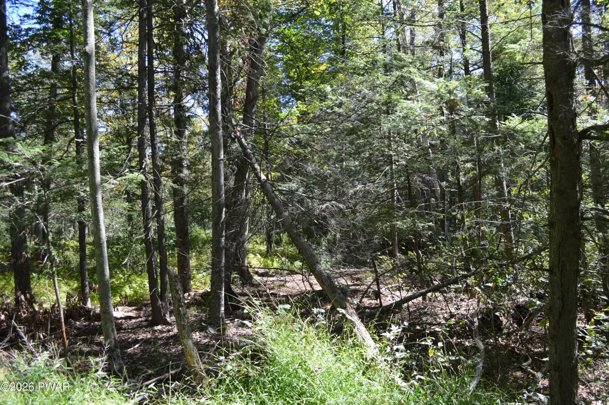 Lot 110 Snow Drift Road, Newfoundland, PA 18445 - #1
