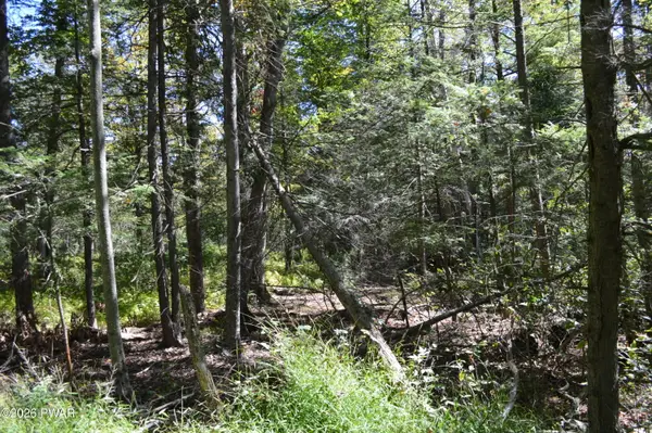 Lot 110 Snow Drift Road, Newfoundland, PA 18445