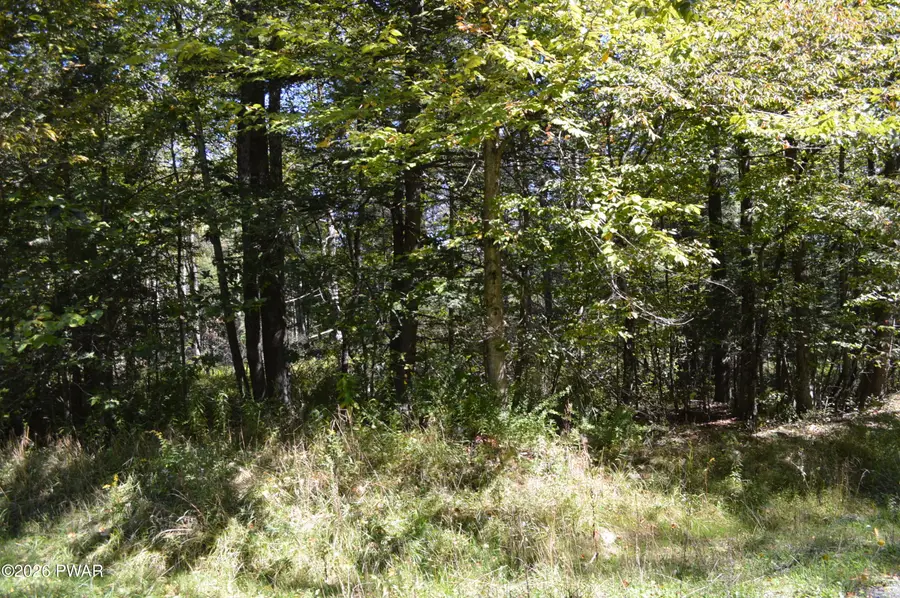 Snow Drift Road, Newfoundland, PA 18445 - #2
