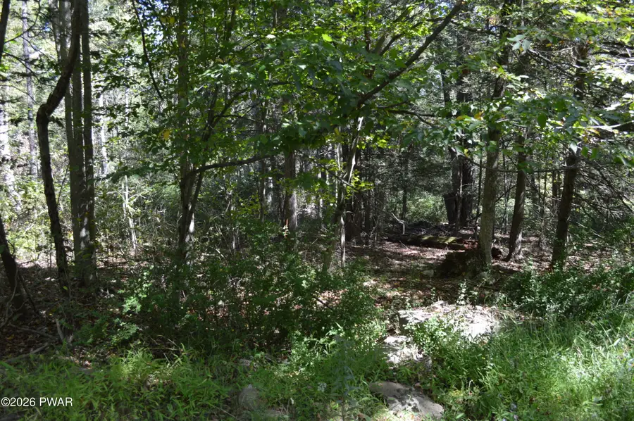 Snow Drift Road, Newfoundland, PA 18445 - #3