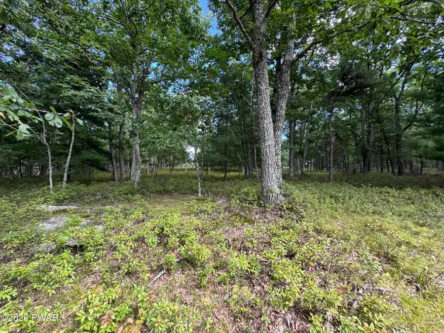 LOT 45&46 Maplewood Court, Hawley, PA 18428 - #2