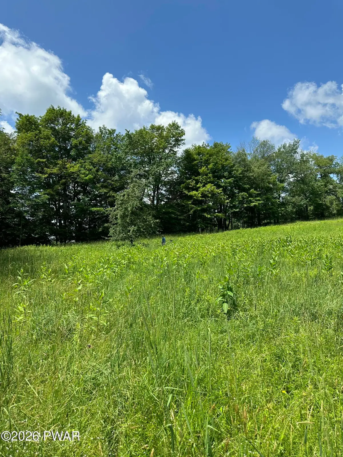 Lot1 Crosstown Highway, Lakewood, PA 18439 - #1