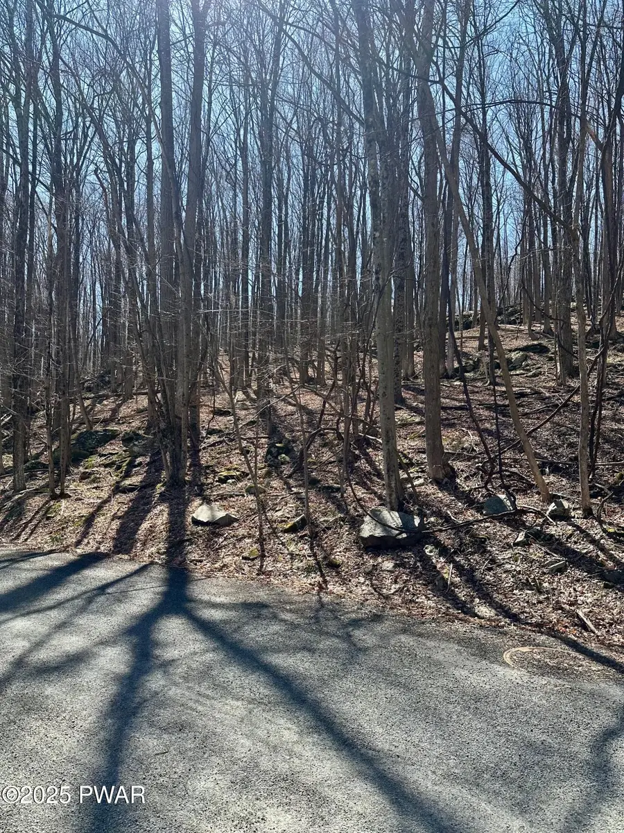 Lot 144 Sheridan Road, Hawley, PA 18428 - #3