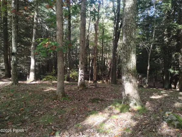 131 Water View Drive, Hawley, PA 18428