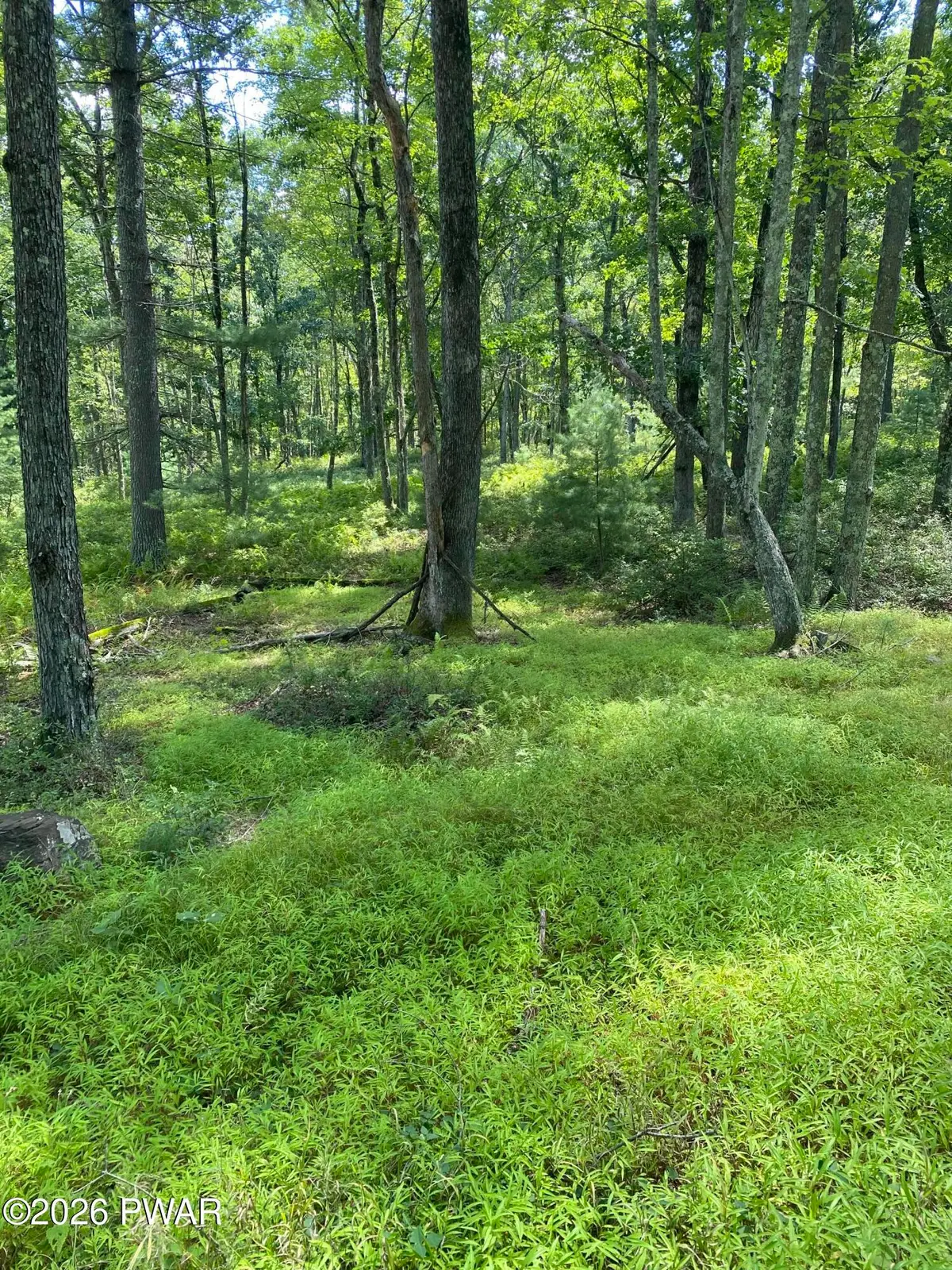 Lot 12B Woodlyn Acres Road, Hawley, PA 18428 - #1