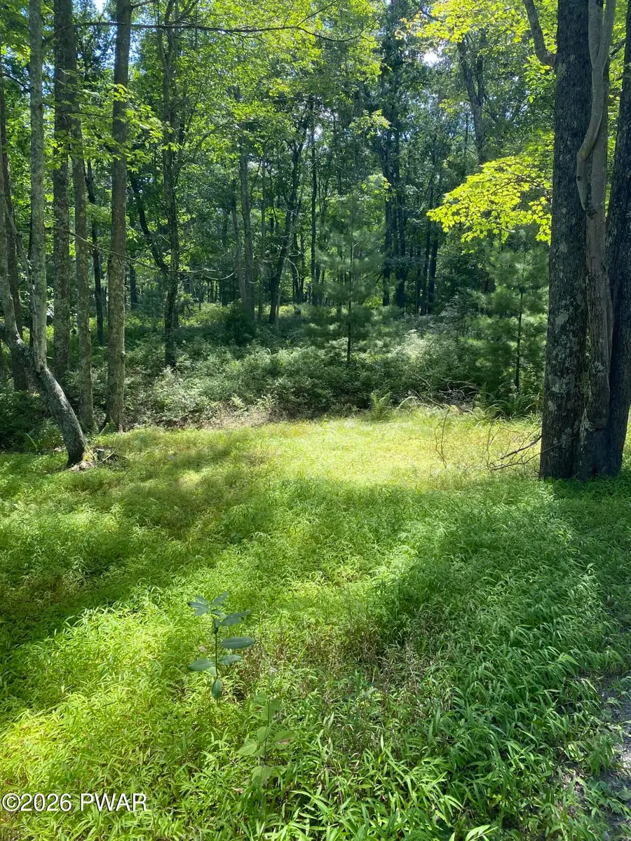 Lot 12B Woodlyn Acres Road, Hawley, PA 18428 - #2
