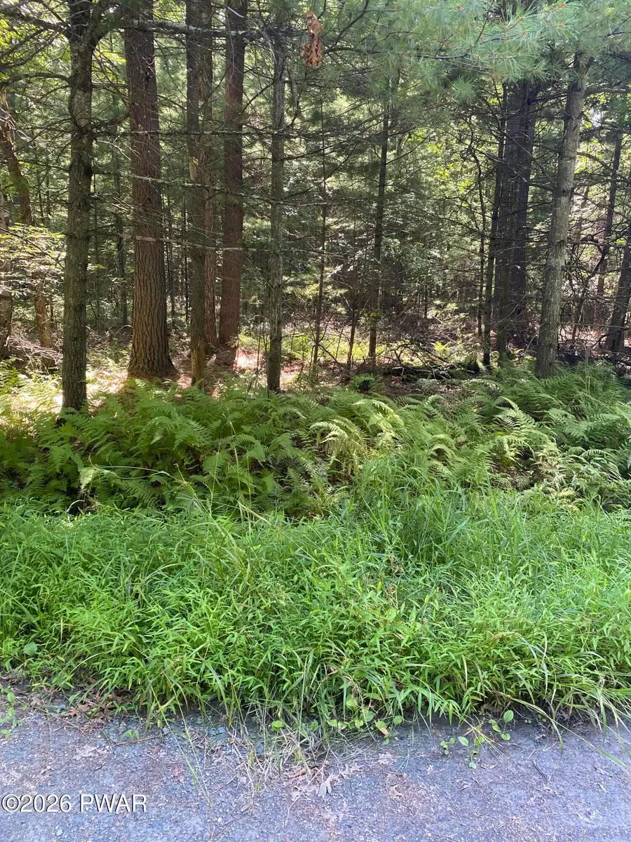 Lot 35 Cricket Hill Road, Hawley, PA 18428 - #2