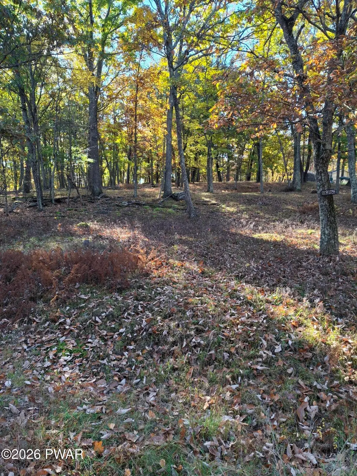 150 Oak Ridge Drive, Hawley, PA 18428 - #1