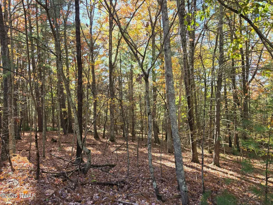 LOT 392 Creek Court, Hawley, PA 18428 - #3
