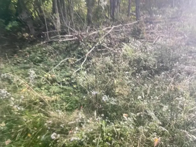 307 Bull Hill Road, Pittsfield, PA 16340 - Image #3