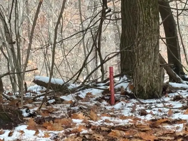 TBD Cable Hollow Road, Russell, PA 16345 - Image #2