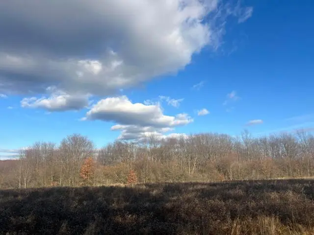 - Follett Run Road, Warren, PA 16365 - Image #3