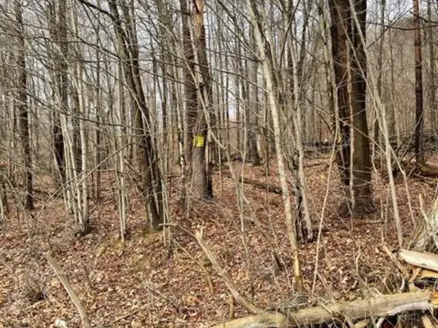 00 Pennsylvania Avenue West, Warren, PA 16365 - Image #2