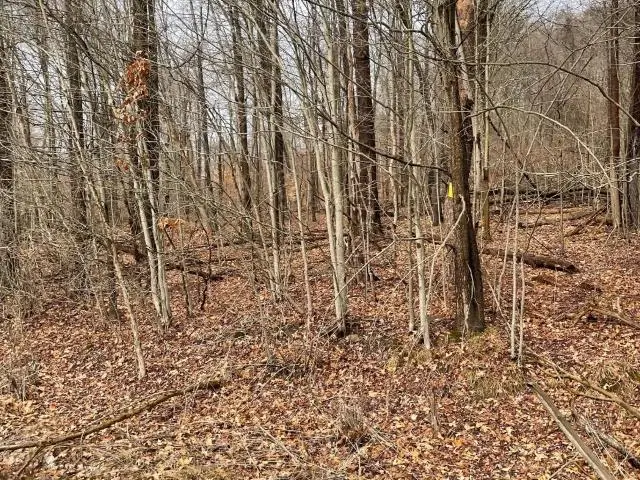 00 Pennsylvania Avenue West, Warren, PA 16365 - Image #3