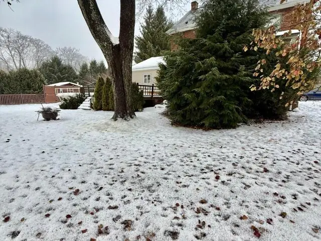 1105 Conewango Avenue, Warren, PA 16365 - Image #2