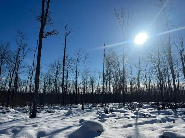 - Coalbed Road, Russell, PA 16345 - Image #1