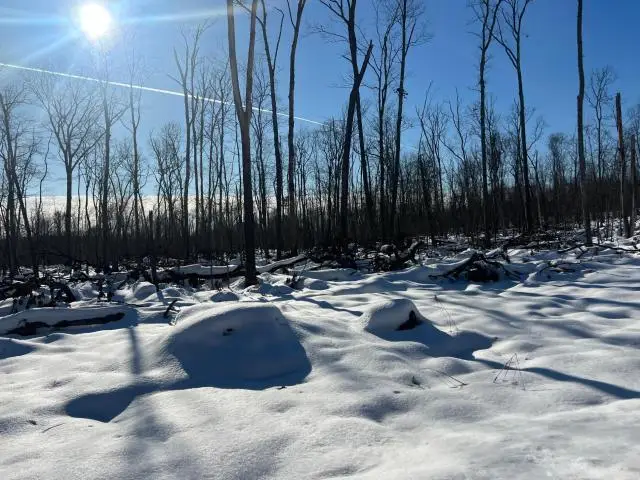 - Coalbed Road, Russell, PA 16345 - Image #3