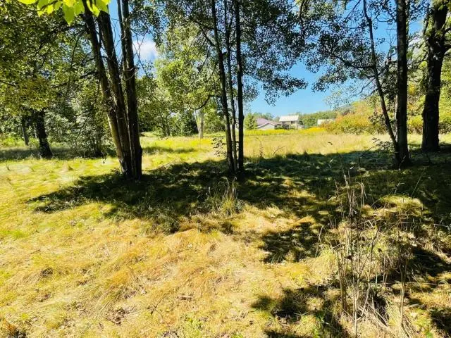 0 Grass Flats Boulevard, Warren, PA 16365 - Image #3