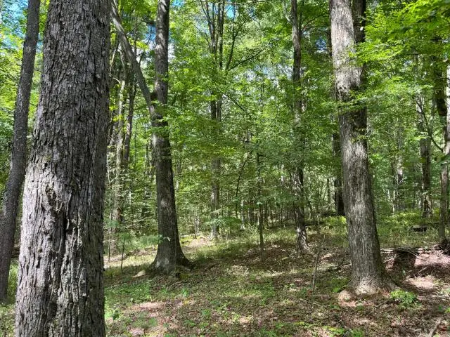 TBD Samuelson Road, Youngsville, PA 16371 - #1