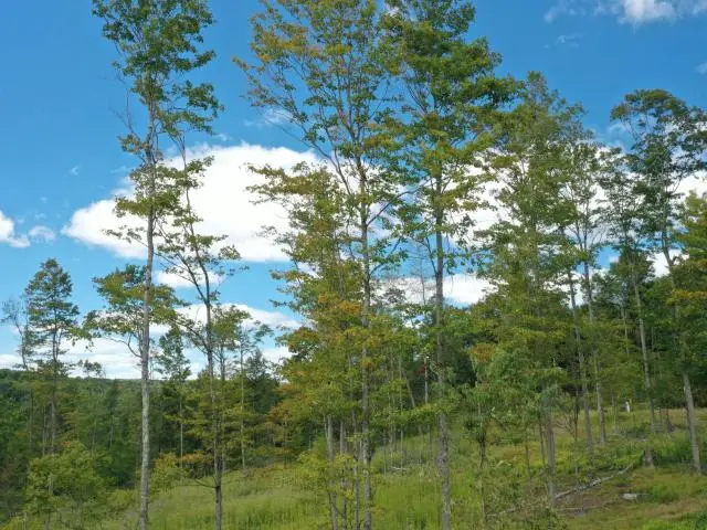 TBD Samuelson Road, Youngsville, PA 16371 - #2