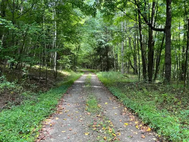 TBD Samuelson Road, Youngsville, PA 16371 - #3