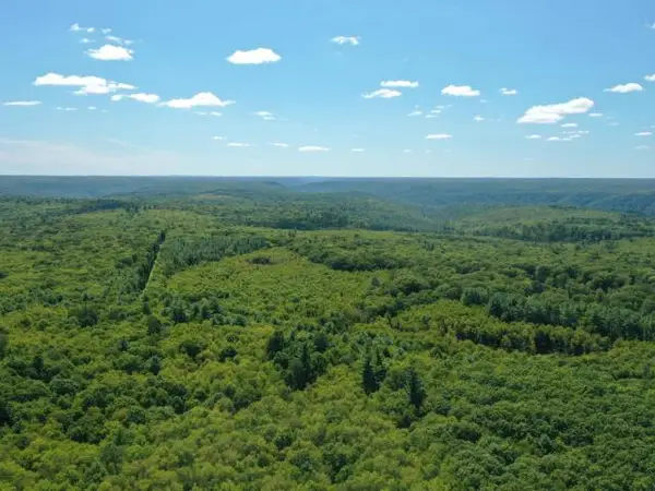 TBD Route 337, Tidioute, PA 16351