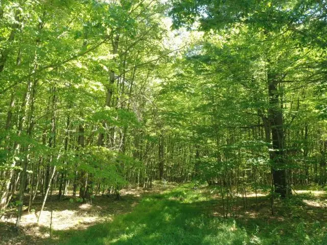 TBD Route 337, Tidioute, PA 16351 - #3