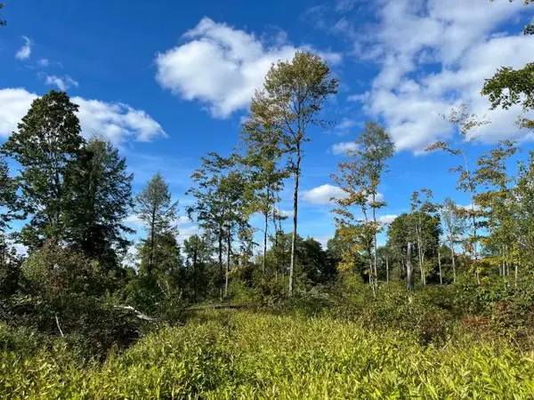 TBD Mickle Hill Road, Spring Creek, PA 16436