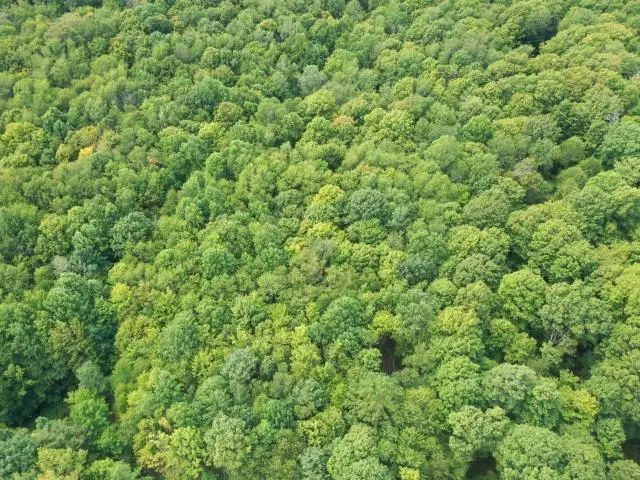 TBD Jones Hill Road, Sugar Grove, PA 16350 - #3