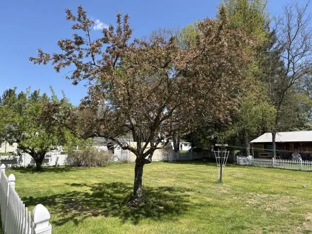 54 Fourth Street, Youngsville, PA 16371 - #3