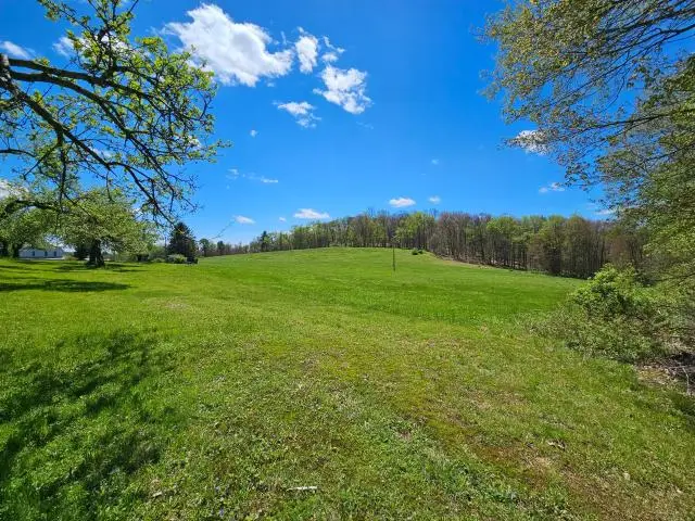 292 Shanley Road, Tidioute, PA 16351 - #3