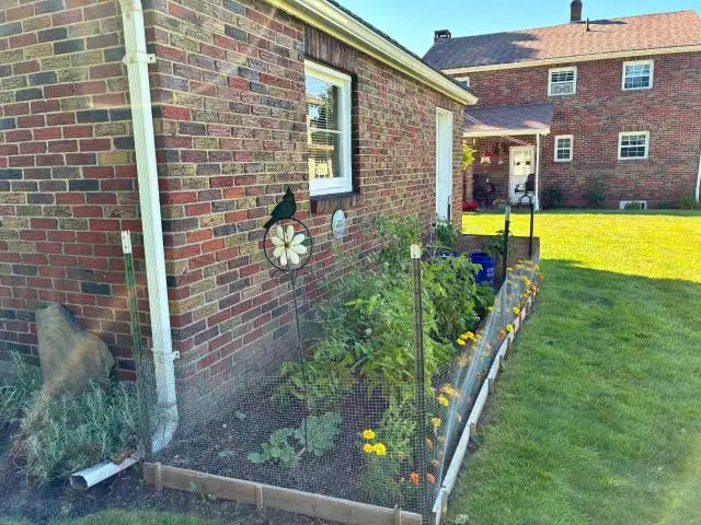 6 Grant Street, Warren, PA 16365 - #3