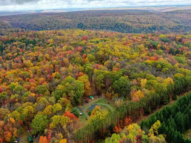 509 Roper Hollow Road, Russell, PA 16345 - #3